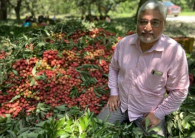 farmer next to lyches